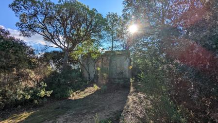 El Burot del Bosque de la Nau.