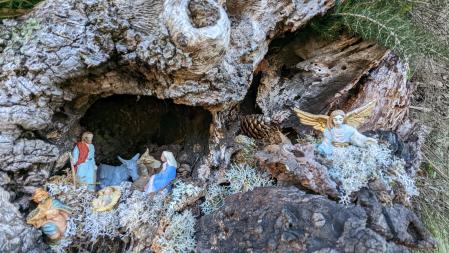 Pesebre en un árbol en el Bosque de la Nau.