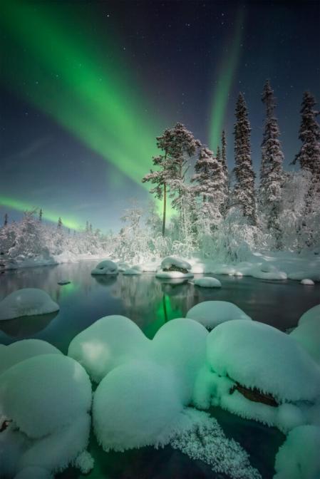«Magical Forest» – Murmansk, Rusia  .