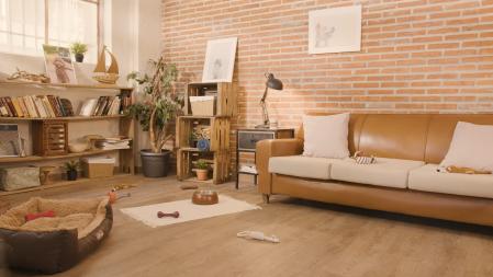 Affinity Espacio Perro