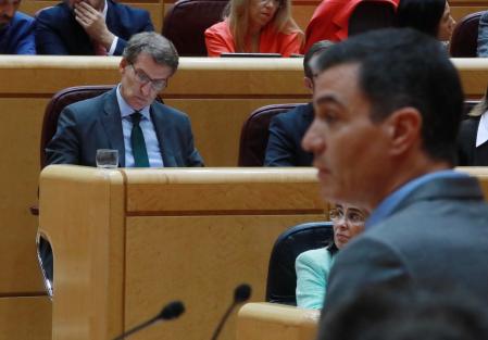 Pedro Sánchez, en primer plano, y Albert Núñez Feijóo, al fondo, en el Senado