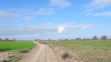 Solución al Reto visual del aguilucho.