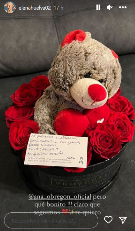 Ana Obregón le ha regalado un peluche a Elena Huelva