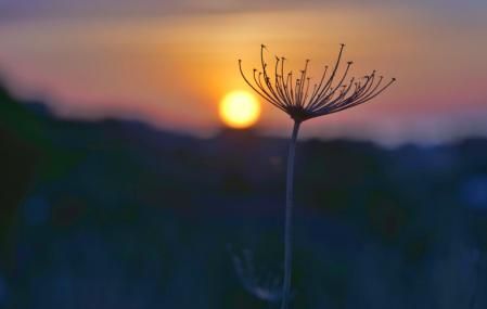 Primer amanecer del 2023 en Mijas.