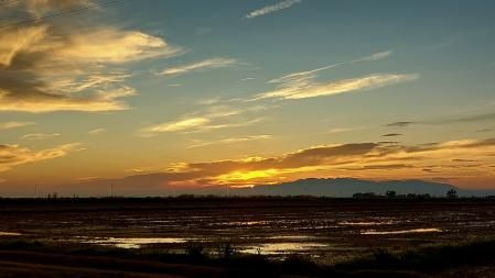Puesta de sol en los arrozales del Delta del Ebro.