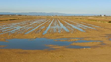 Invierno en el Delta del Ebro.