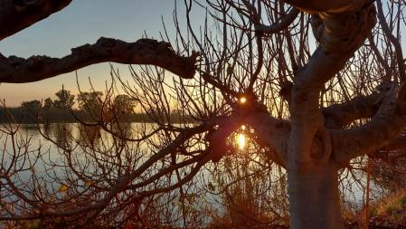 Invierno en el Delta del Ebro.