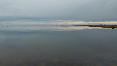Día gris en el Delta del Ebro.