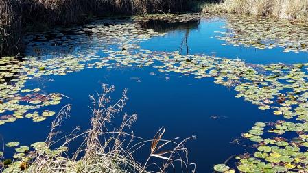 La laguna de los Ojos de Baltasar.