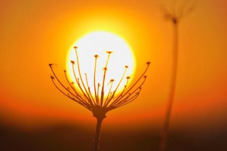 Salida del sol en Mijas.