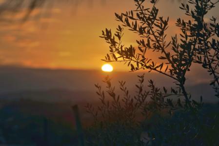 Salida del sol en Mijas.