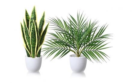 Plantas Artificiales 40cm Sansevieria/Areca Palm