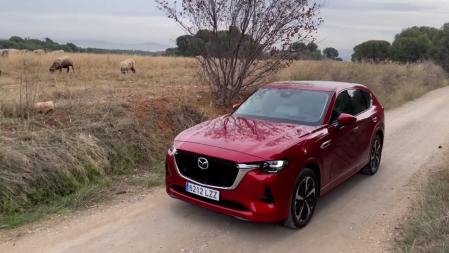 Su bastidor está pensado para un uso de asfalto con un amplio margen de confort y seguridad, aunque tampoco se arruga en una conducción por pistas en buen estado.&nbsp;&nbsp;