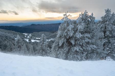 Paisaje invernal en los Rasos de Peguera.