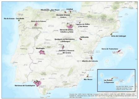 Localización de los espacios seleccionados para el seguimiento de la presencia de baasuraleza  .