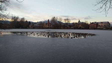 Lago de Puigcerdà helado.