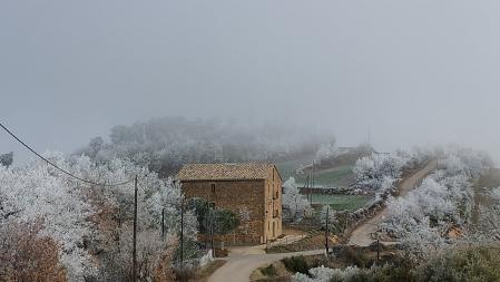 Cencellada en el santuario de Pinós.