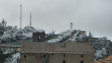 Cencellada en el santuario de Pinós.