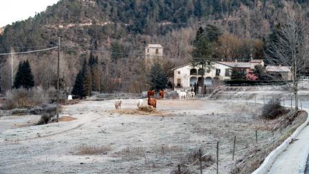 Paisaje gélido en Sant Sardurní d'Osormort.