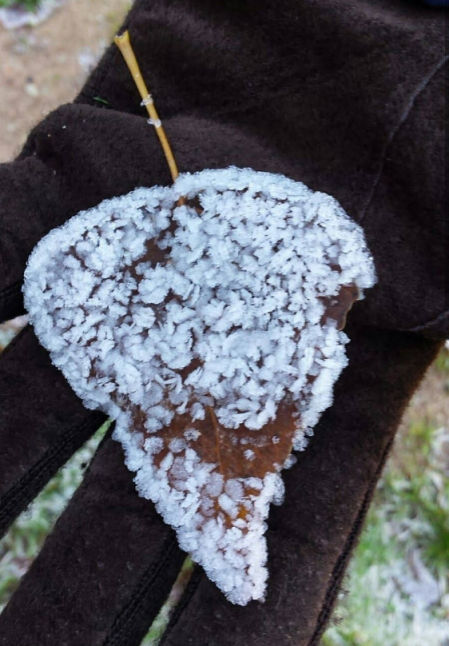 Hoja helada sobre un guante, en Cercs.