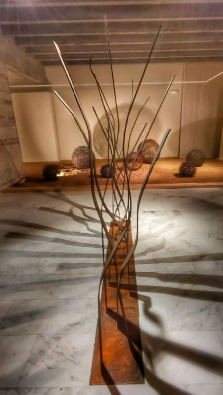 Exposición sobre la posidonia en el Museu del Mediterrània.