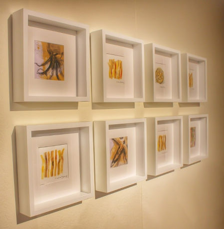 Exposición sobre la posidonia en el Museu del Mediterrània.