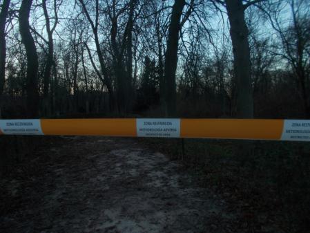Invierno helado en El Retiro.