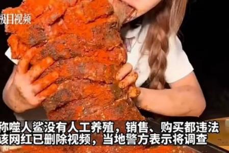 El tiburón blanco es una especie a un paso de estar en peligro de extinción y sumamente protegida