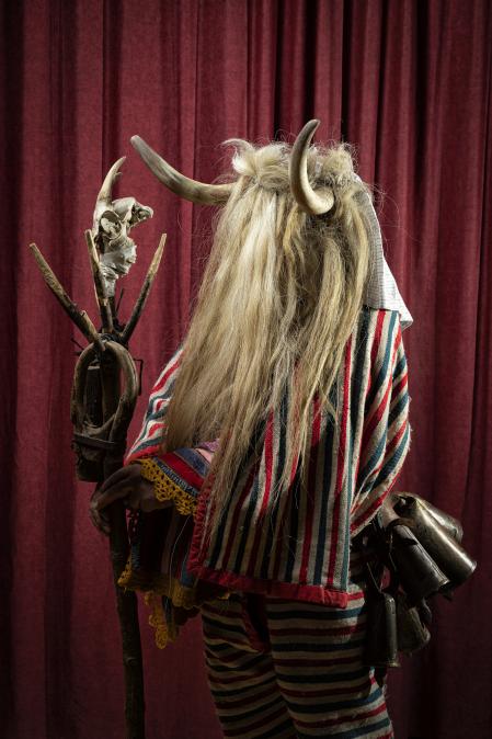 Un cucurrumacho de Navalosa