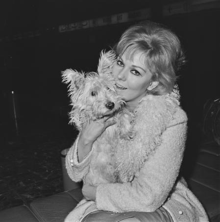 American actress Kim Novak leaves London Airport (later Heathrow) for America with her dog Chilham, UK, 24th December 1964. The dog is named after Chilham Castle in Kent, the location for the filming of 'The Amorous Adventures of Moll Flanders', in which Novak played the title role. (Photo by Evening Standard/Hulton Archive/Getty Images)