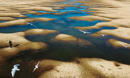 FILE - Birds fly over a man taking photos of the exposed riverbed of the Old Parana River, a tributary of the Parana River, during a drought in Rosario, Argentina, on July 29, 2021. Climate change isn’t causing the multi-year drought that is devastating parts of Argentina, Uruguay, Brazil and Bolivia, but warming is worsening some of the dry spell’s impacts, a new study says. (AP Photo/Victor Caivano, File)