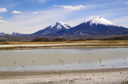 Vista panorámica del grupo volcánico. Grupo volcánico Payachata en el Parque Nacional Lauca, Chile El Parque Nacional Lauca está ubicado en el extremo norte de Chile, en la cordillera de los Andes.