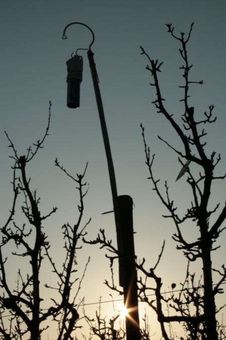 Detalles en los campos de invierno del Urgell.