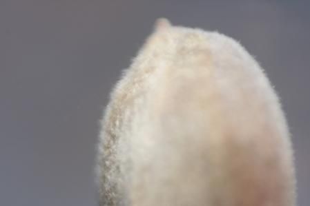 Minimalismo en los campos del Urgell.