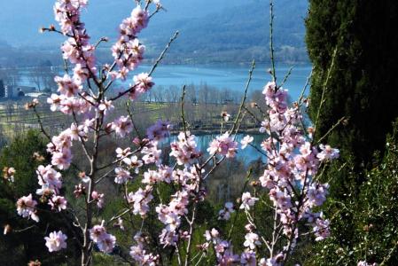 El invierno primaveral en el estanque de Banyoles.