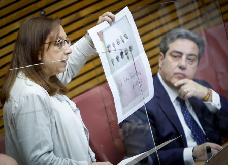 Llanos Maso en el momento de su intervención