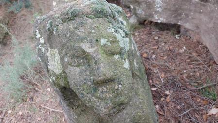 La Dama de Torroella.