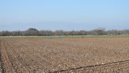 Solución al Reto visual de las grajillas.