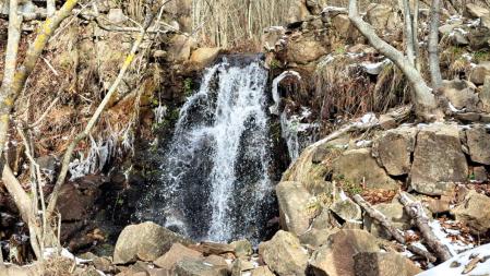 Pantano de Santa Fe.