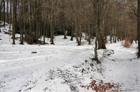 Embalse de Santa Fe del Montseny.