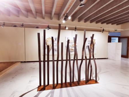 Exposición 'Posidònia', de Carles Bros.