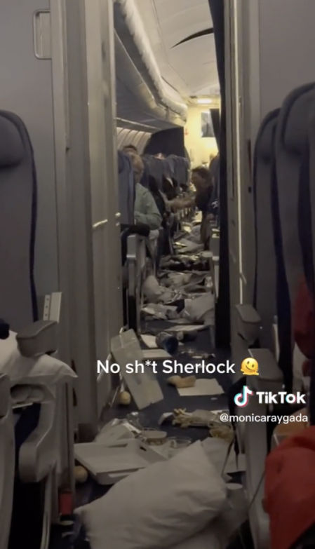 7 pasajeros resultaron heridos y tuvieron que llevar a cabo un aterrizaje de emergencia mucho antes de lo previsto