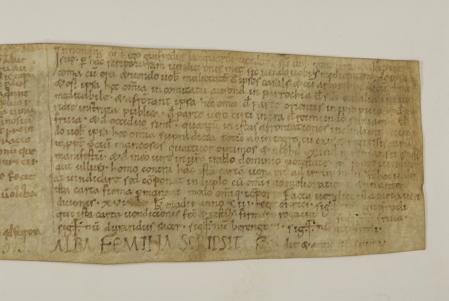 Documento de compra redactado por Alba de Vic en el año 1044