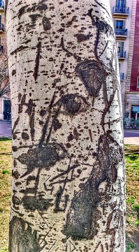 Señales en la corteza del tronco de un árbol.