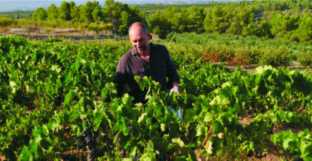 Más Amor Rosado 2021 2