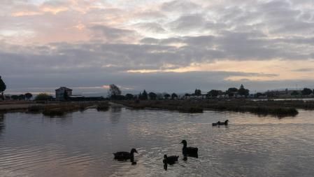 Llega la primavera al parque de L'Agulla.