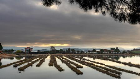 Llega la primavera al parque de L'Agulla.