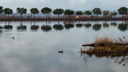 Llega la primavera al parque de L'Agulla.