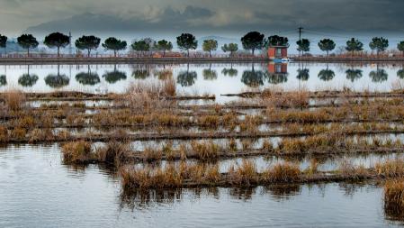 Llega la primavera al parque de L'Agulla.