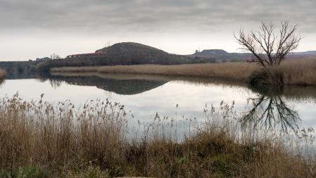 Campos en flor en Aitona en el inicio de la primavera.